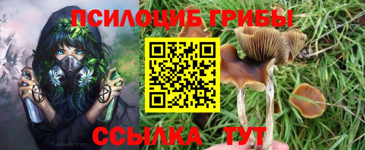 Псилоцибиновые грибы мицелий Ишимбай